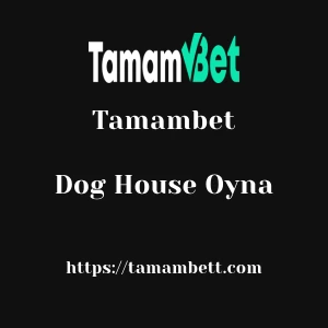 Tamambet Dog House Oyna